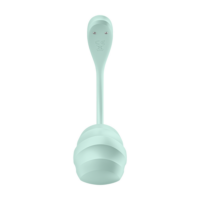 Satisfyer Smooth Petal Vibrator