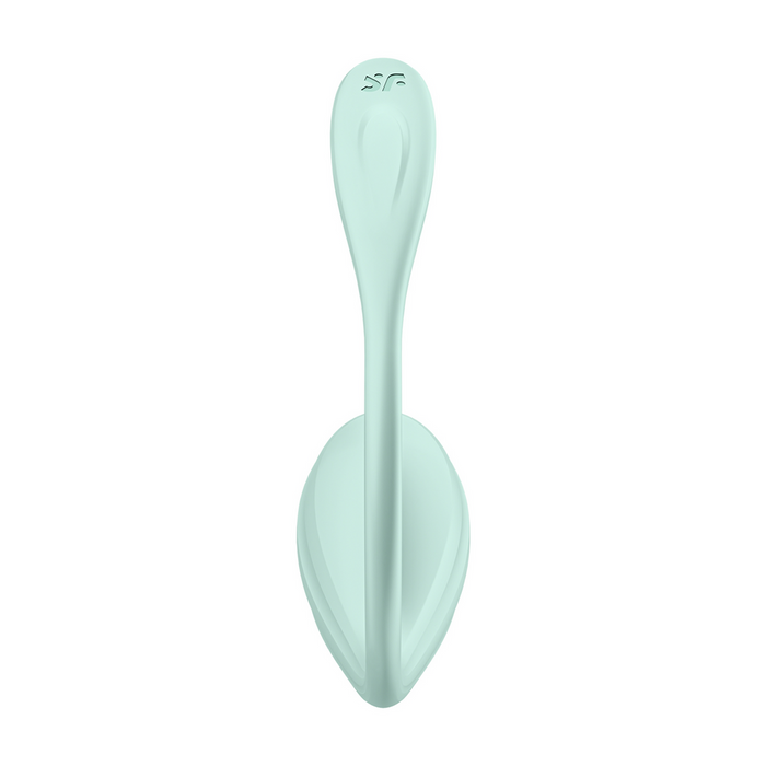 Satisfyer Smooth Petal Vibrator