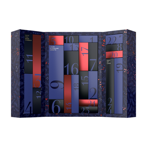 Satisfyer Premium Advent Calendar 2024