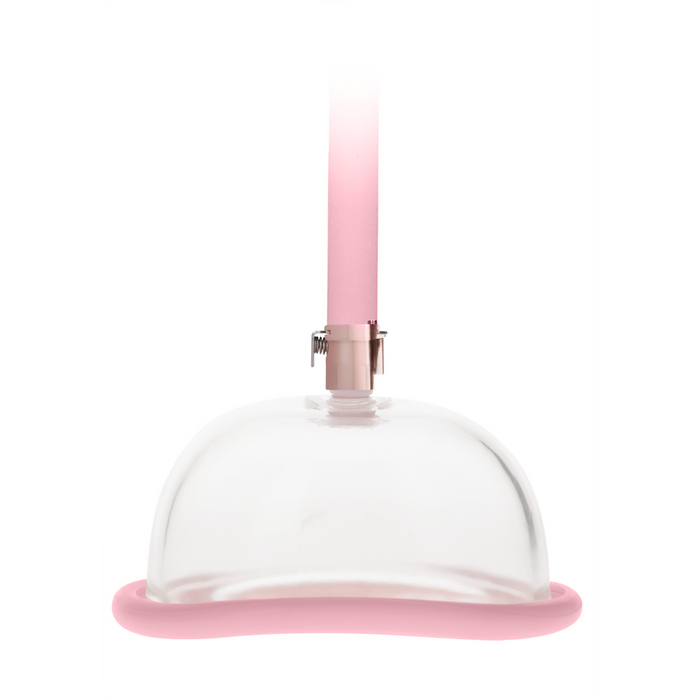 Pumped Acrylic Vagina Pomp