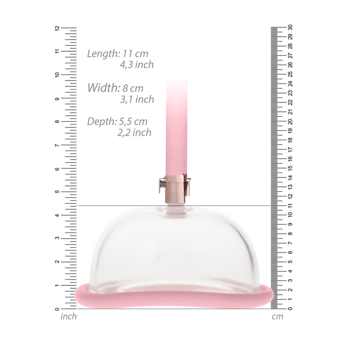 Pumped Acrylic Vagina Pomp